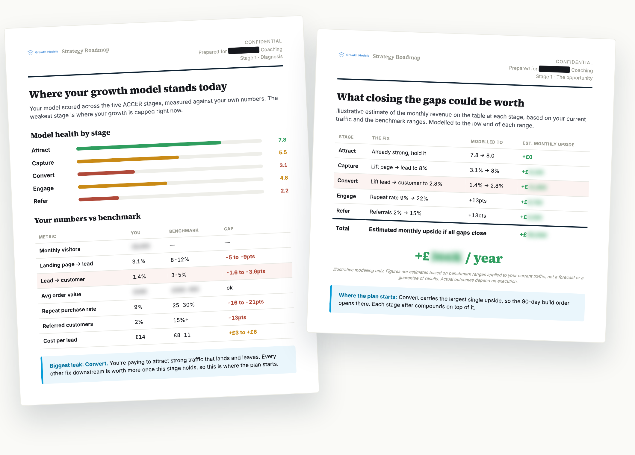Sample Roadmap pages, diagnosis and opportunity